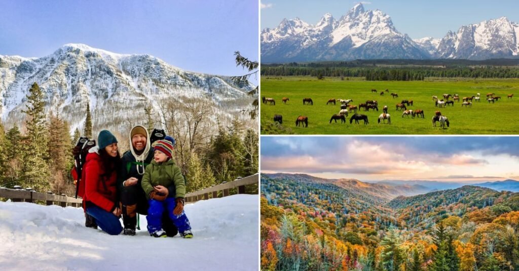 Best National Parks for Families with Toddlers (outdoor vacation ideas with a toddler)