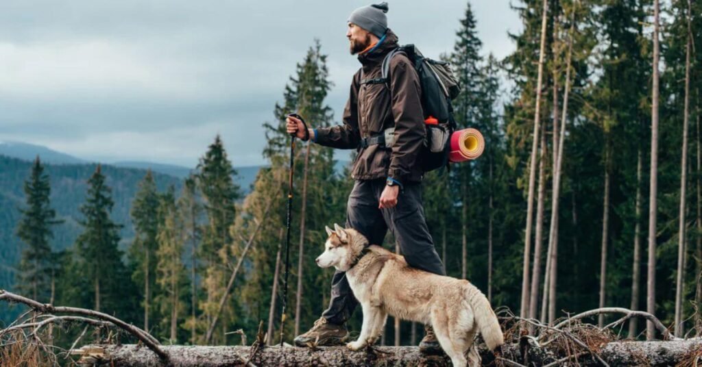 Mountain and Nature Retreats