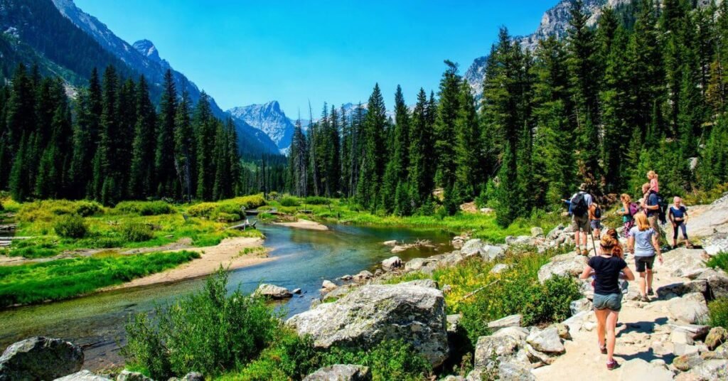 Scenic Treks with Easy Terrain