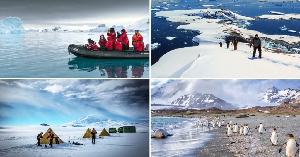Top Experiences You Can Only Have in Antarctica
