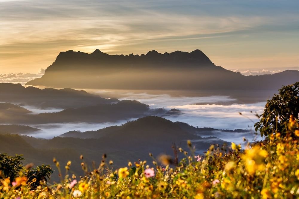 thailand 12go bus booking