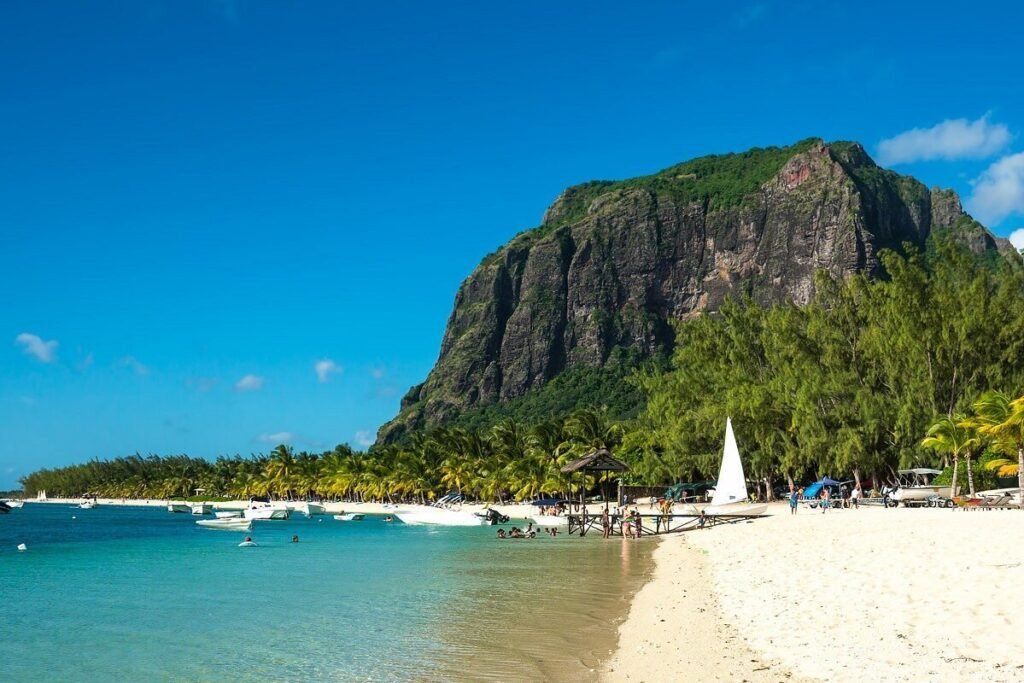 MyTrip Features and Services